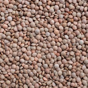 LENTEJA AJUUA **10 /200GR